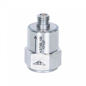 unilaxialer Beschleunigungsmesser 1