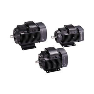 einphasiger Motor