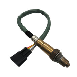 elektrochemischer Sauerstoffsensor