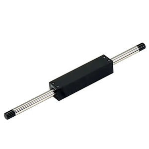 Linearer Servomotor / DC 1