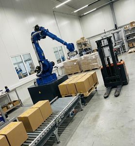 Verpackungsanlage für die Lebensmittelindustrie 1