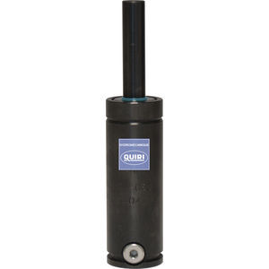 Edelstahl-Gasfeder 1