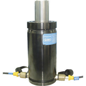 Edelstahl-Gasfeder 1