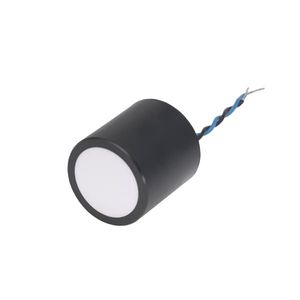 zylinderförmiger Ultraschallwandler 1