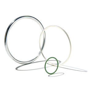 O-Ring-Dichtung 1