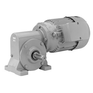 DC-Getriebemotor 1