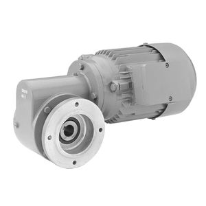 DC-Getriebemotor 1