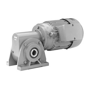 DC-Getriebemotor 1