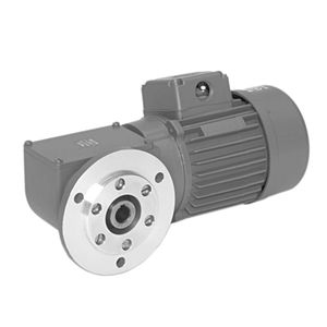 dreiphasiger Getriebemotor 1