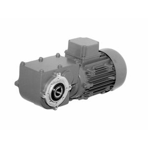 DC-Getriebemotor 1