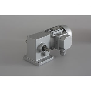 DC-Getriebemotor 1