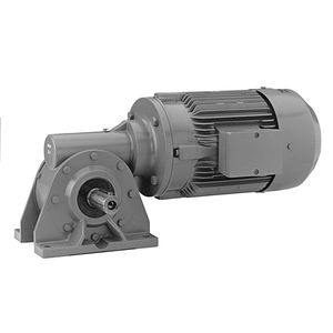 DC-Getriebemotor 1