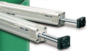 pneumatischer Zylinder / Parallelkolbenstange / mit Magnetkolben / ISO
