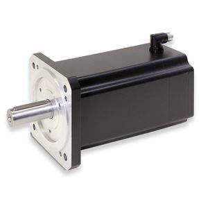 trägheitsarmer Servomotor