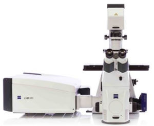 Imaging System 1