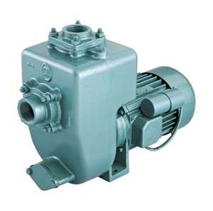 Impellerpumpe