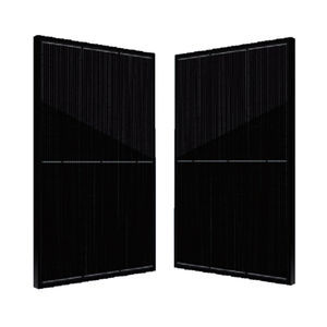 Solarmodul / monokristallines Silicium 1