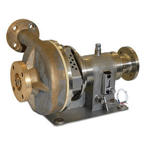 Kreiselpumpe 1