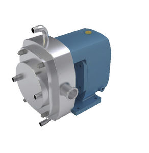Drehkolbenpumpe
