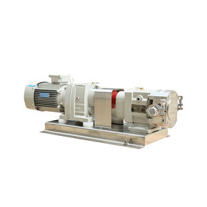 Drehkolbenpumpe