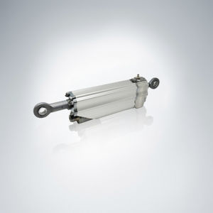 Hydraulikzylinder 1