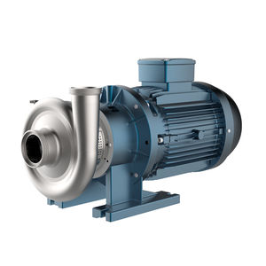 Kreiselpumpe 1