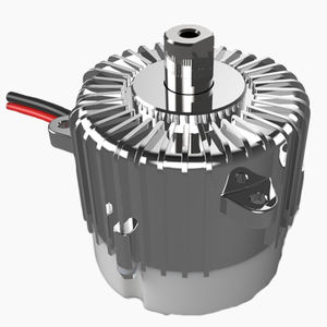 bürstenloser Motor