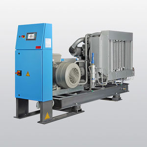 luftgekühlter Kompressor 1