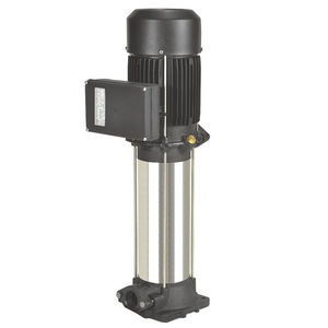Lamellenpumpe 1