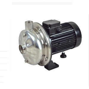 Impellerpumpe 1