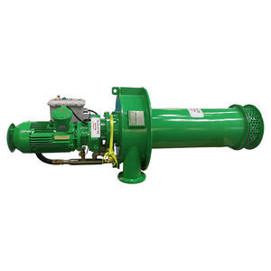 Entgaser 1