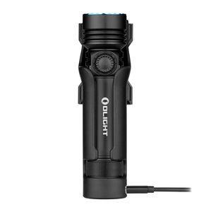 LED-Taschenlampe 1