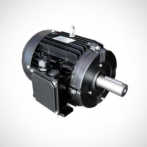 Synchronmotor