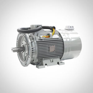 dreiphasiger Motor