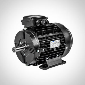 Motor mit Permanentmagnet