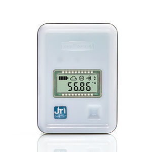 Pt100-Temperatursensor