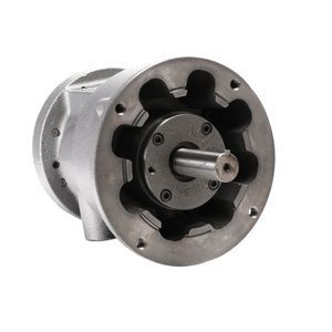 Lamellen-Druckluftmotor 1
