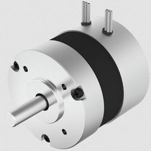 bürstenloser Motor 1