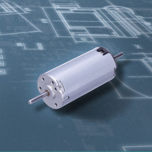 bürstenbehafteter Motor