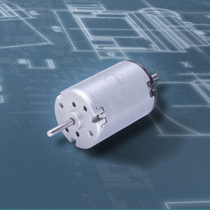 bürstenbehafteter Motor