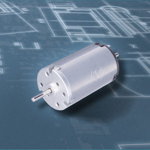 bürstenbehafteter Motor