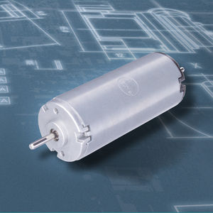 bürstenbehafteter Motor