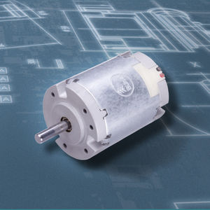 bürstenbehafteter Motor