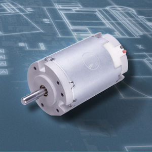 bürstenbehafteter Motor