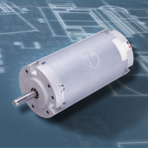 bürstenbehafteter Motor