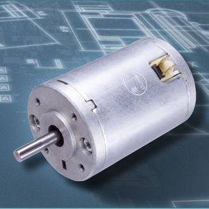 bürstenbehafteter Motor