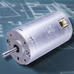 bürstenbehafteter Motor