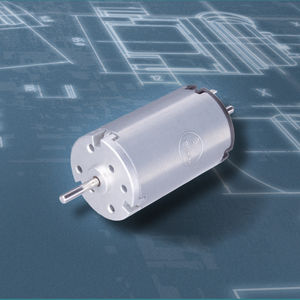 bürstenbehafteter Motor