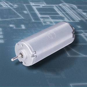 bürstenbehafteter Motor