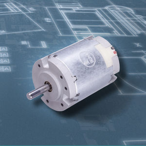 bürstenbehafteter Motor